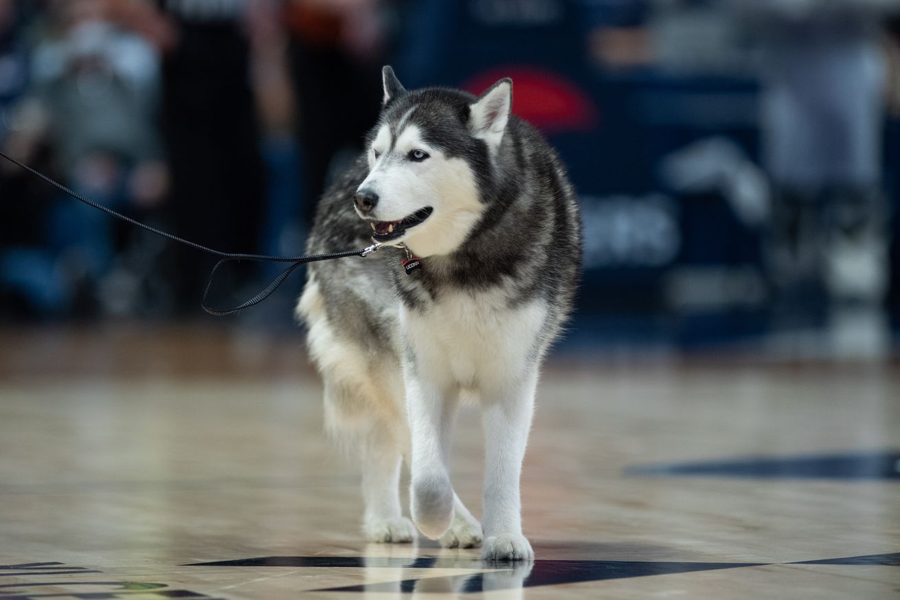 COLLEGE BASKETBALL: JAN 18 Butler at UConn