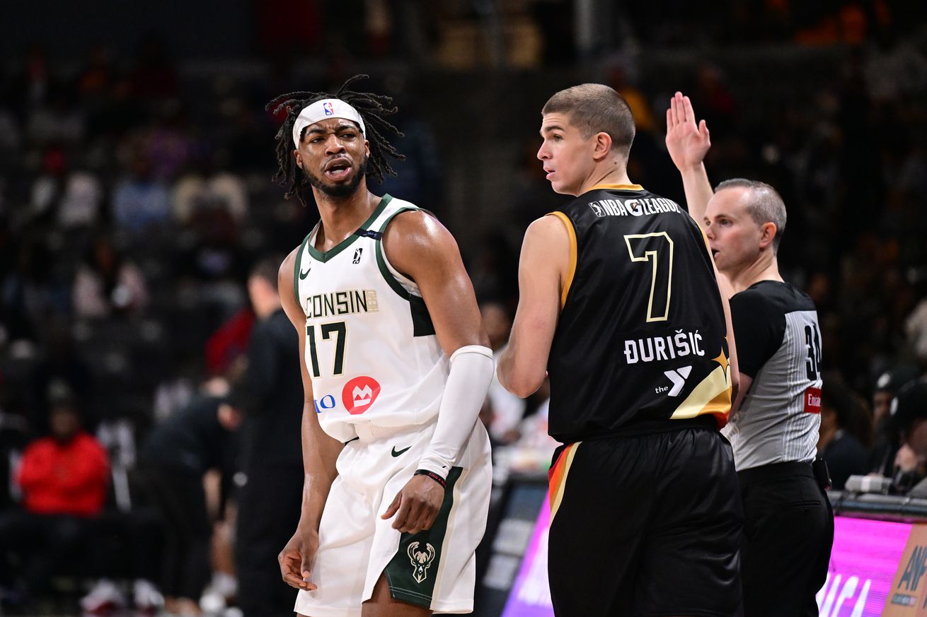 Wisconsin Herd v College Park Skyhawks