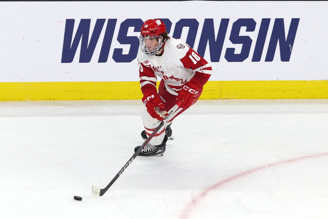 NCAA HOCKEY: MAR 29 DI Men’s Ice Hockey Championship Providence Regional - Quinnipiac vs Wisconsin