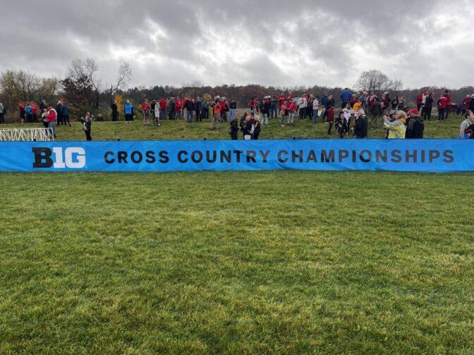 Cross country 2023 championship. October 31, 2023. 